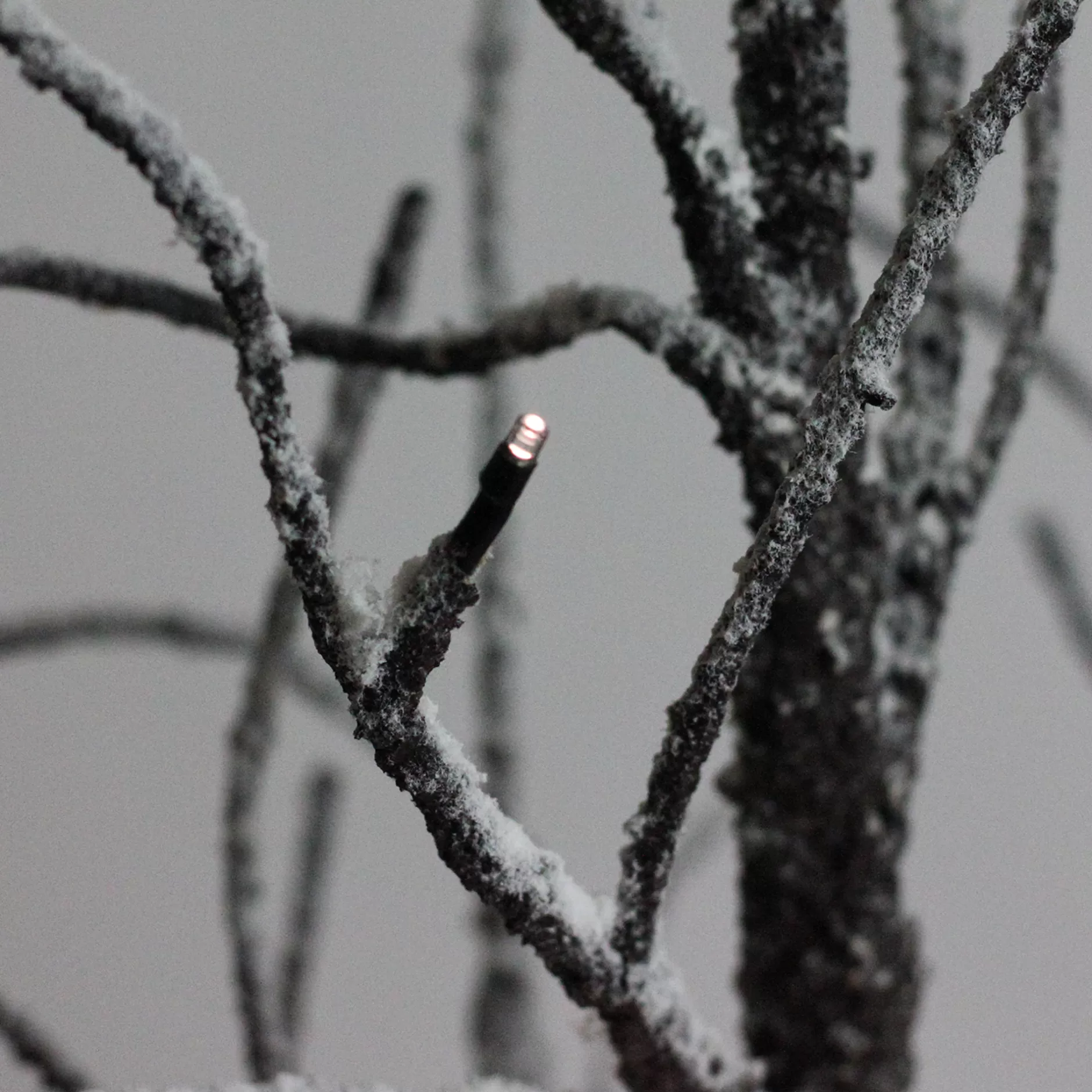 Fashion 4' Brown Led Lighted Frosted Twig Tree Table Top Decoration - Warm Clear Lights Flocked