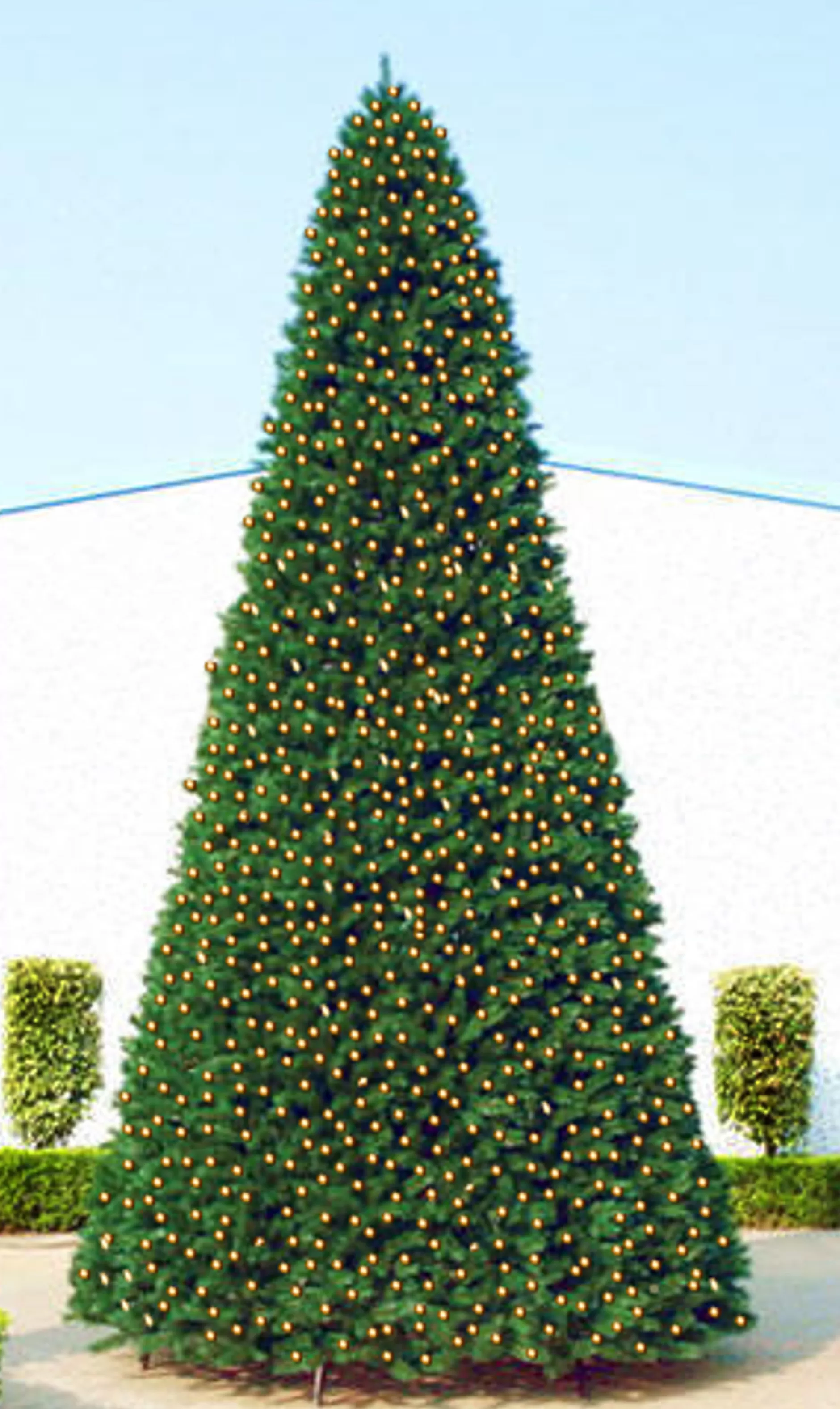 Best Sale 20' Giant Pre-Lit Everest Fir Commercial Christmas Tree - Warm White Led Lights Commercial