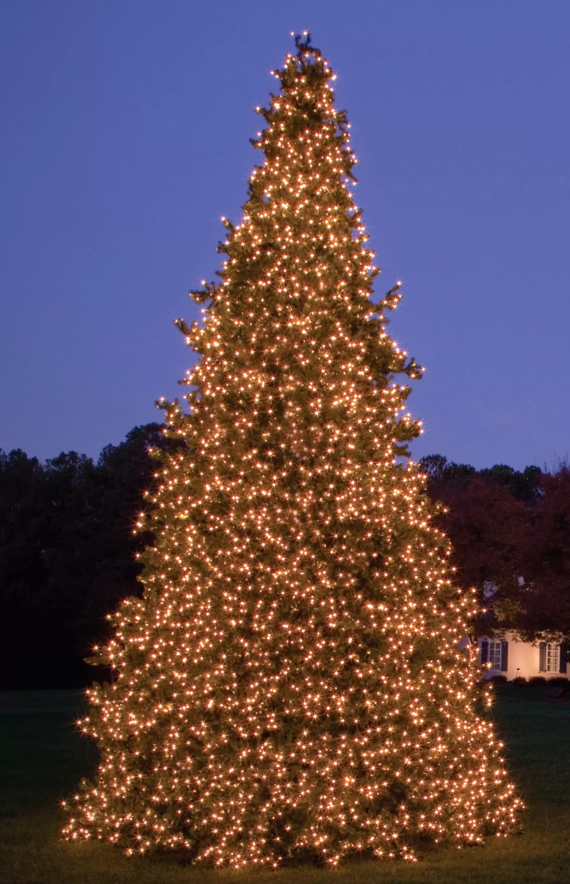 Outlet 24' Giant Pre-Lit Olympia Pine Commercialartificial Tower Christmas Tree - Warm White Led Lights Commercial