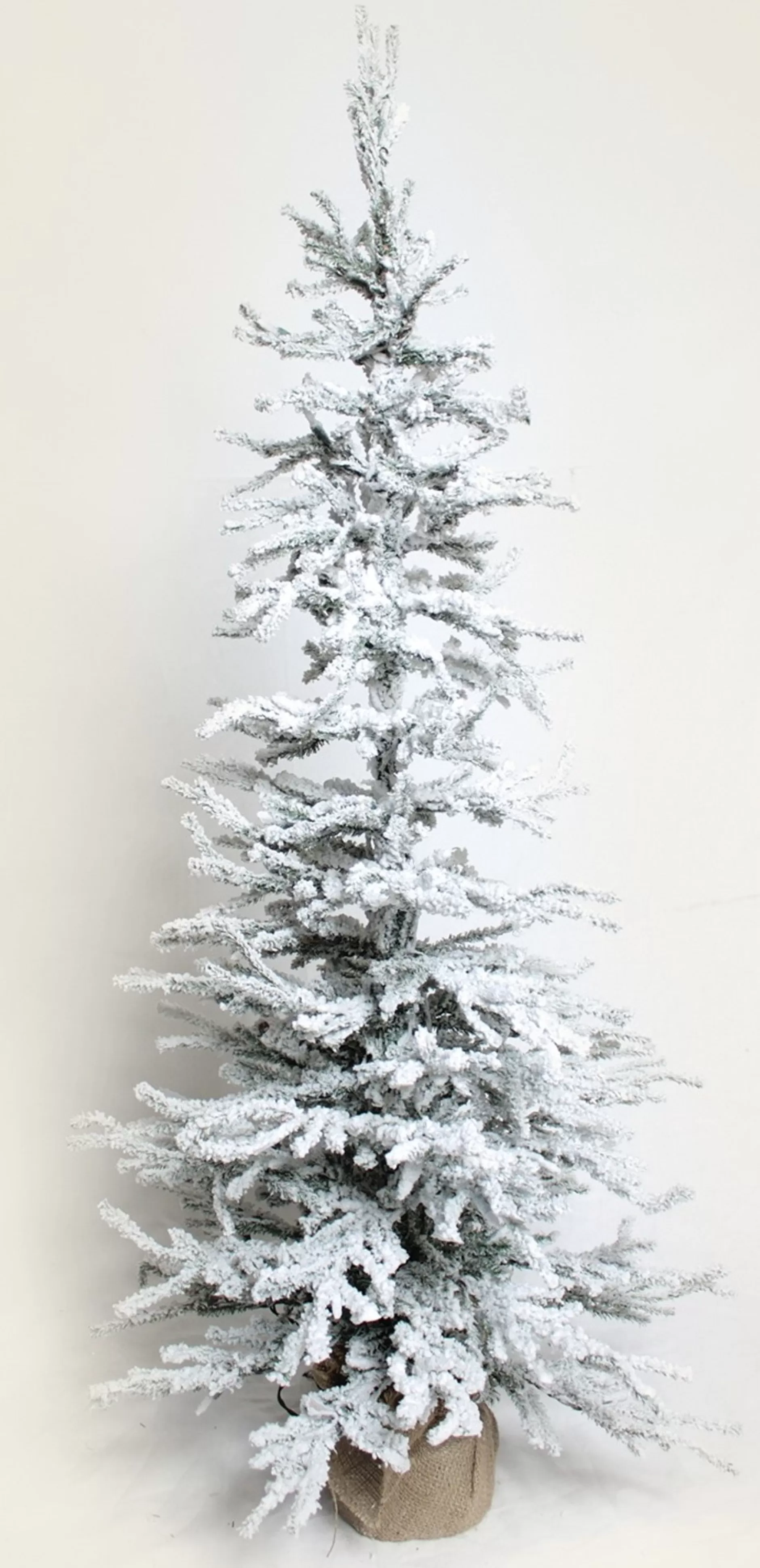 Shop 4' Pre-Lit Frosted Pine Christmas Tree In Burlap Sack - Clear Lights Flocked
