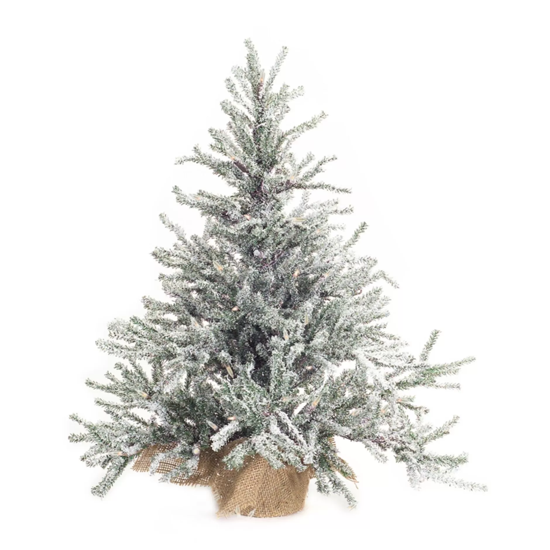Shop 25" Pre-Lit Frosted Pine Miniature Artificial Christmas Tree - Clear Led Lights Flocked