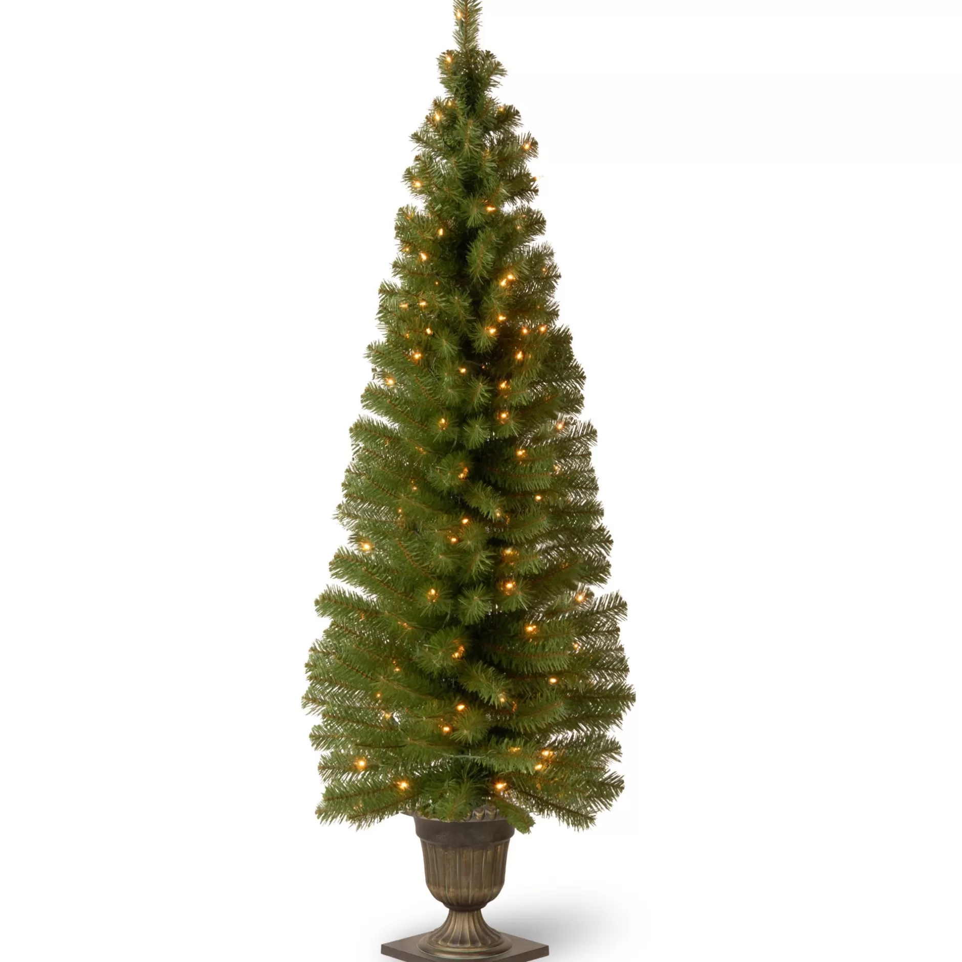 Shop 6' Pre-Lit Montclair Spruce Christmas Tree - Clear Lights Potted