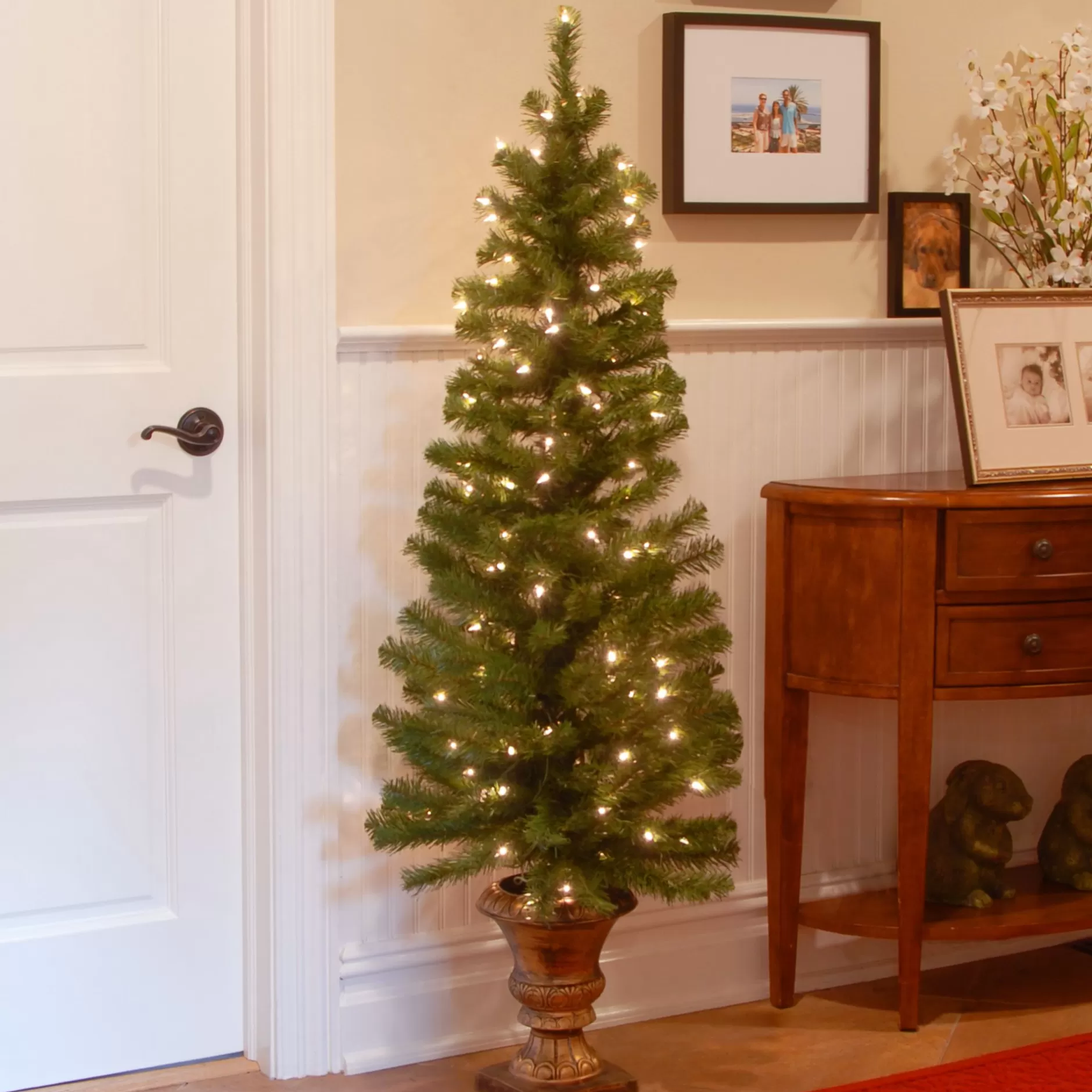 Shop 6' Pre-Lit Montclair Spruce Christmas Tree - Clear Lights Potted