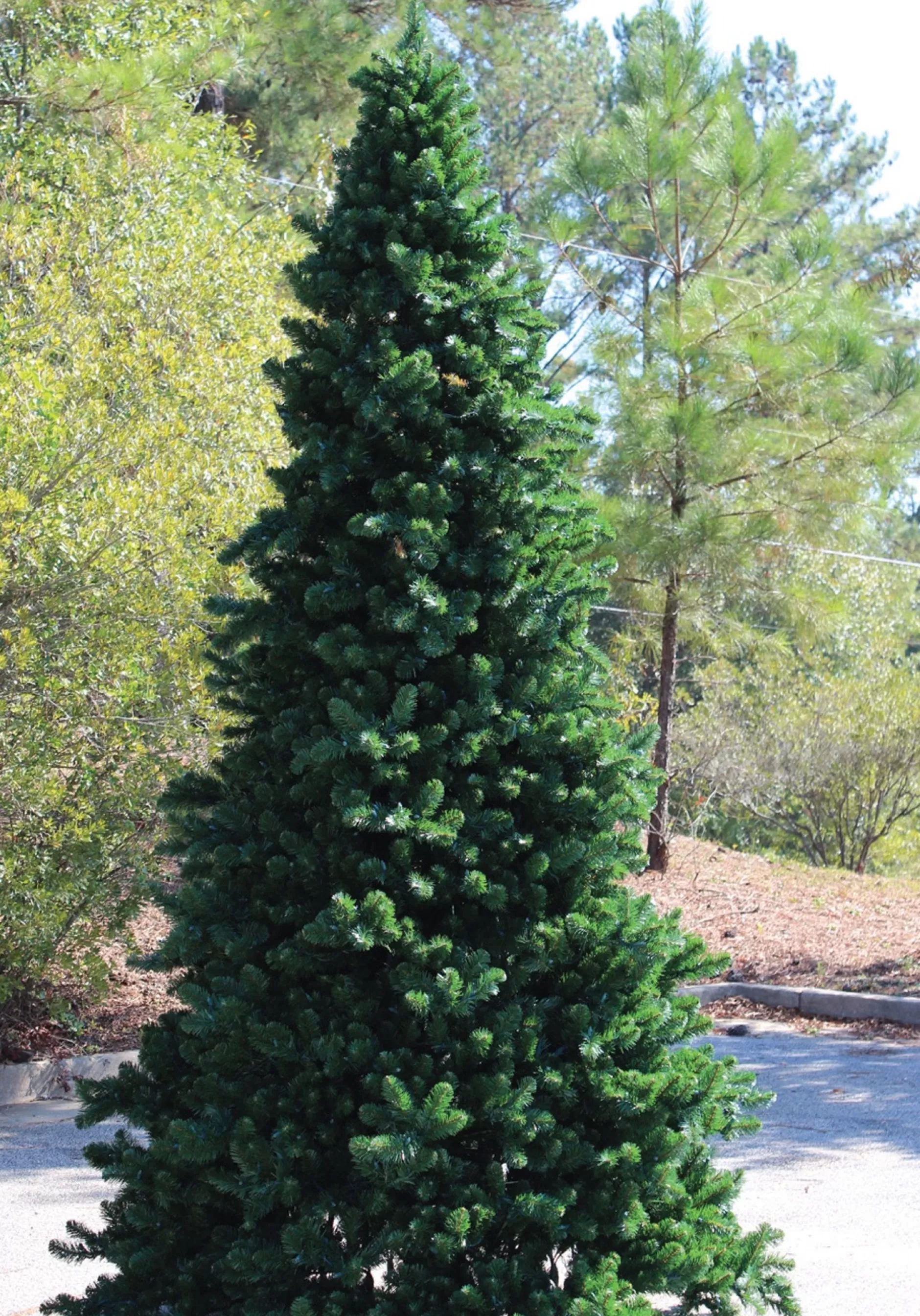 Best Sale 18' Pre-Lit Olympia Pine Artificial Commercial Tower Christmas Tree - Warm White Led Lights Commercial