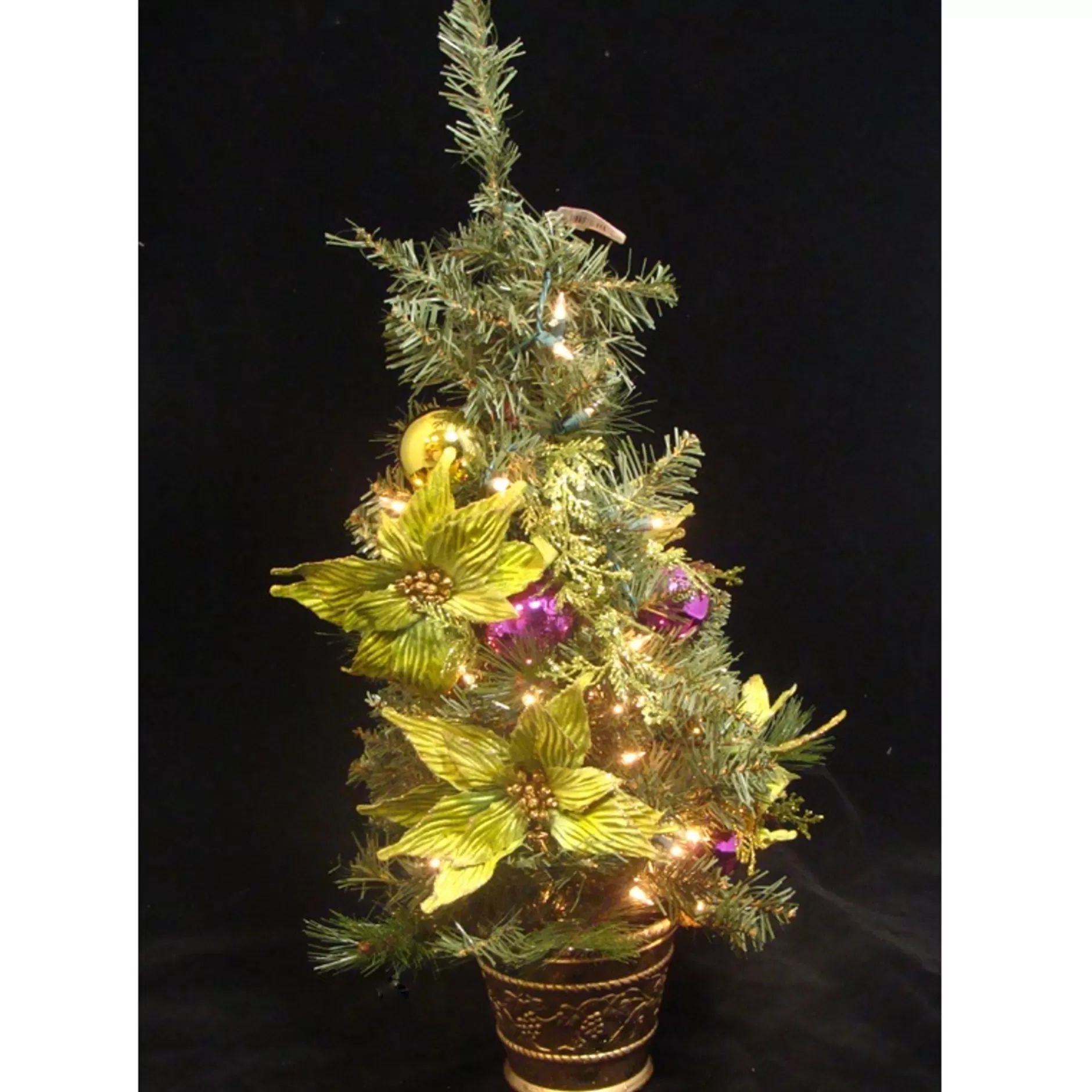 Clearance 2.5' Pre-Lit Potted Lime Green Poinsettia Pine Slim Artificial Christmas Tree - Clear Lights Potted