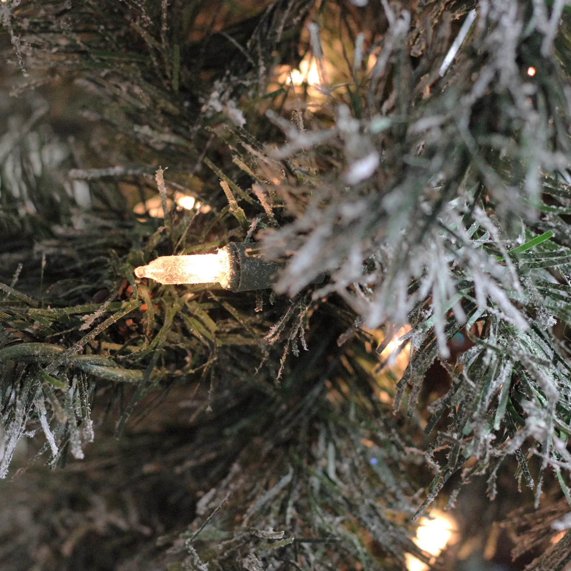 Best 5' Pre-Lit Slim Frosted And Glittered Woodland Alpine Artificial Christmas Tree - Clear Lights - 31733901 Pre-Lit